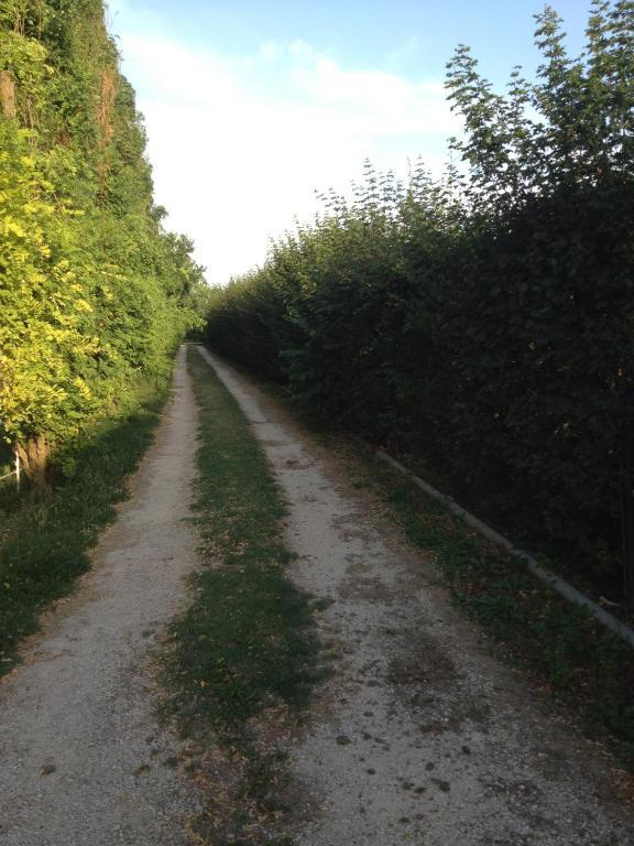 Societa Agricola Le More Agriturismo La Dondina Budrio  Extérieur photo